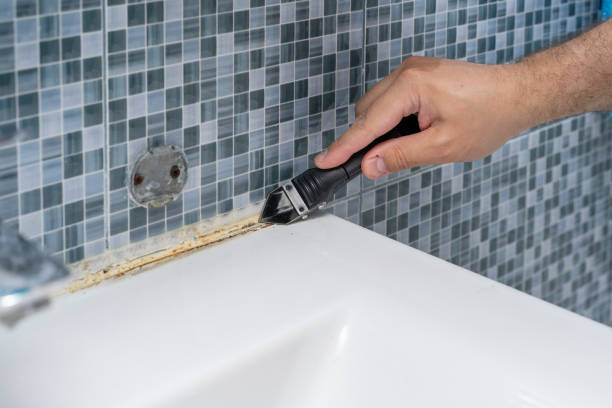 Best Mold Removal Company Near Me  in Fort Calhoun, NE